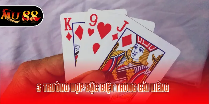 3 trường hợp đặc biệt trong bài Liêng