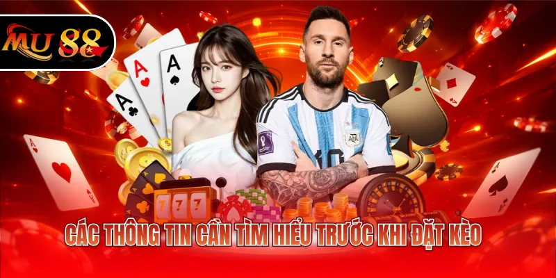 Các thông tin cần tìm hiểu trước khi đặt kèo