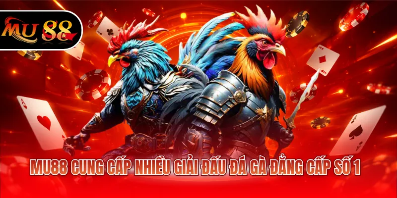 MU88 cung cấp nhiều giải đấu đá gà đẳng cấp số 1
