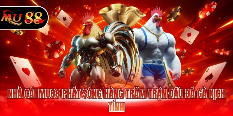Nhà cái MU88 phát sóng hàng trăm trận đấu đá gà kịch tính