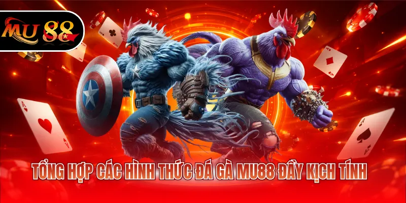 Tổng hợp các hình thức đá gà MU88 đầy kịch tính
